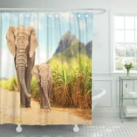 Буш слонове loxodonta Семеен ходещ път в дивата природа декор за баня баня за баня душ завеса