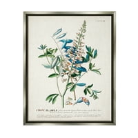 Ступел индустрии ботаническо растение илюстрация цветя и листа реколта дизайн блясък сива рамка плаващо платно стена изкуство, 16х20