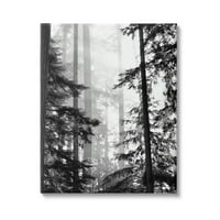 Ступел Индриес Гора Светлина грее през високи дървета пейзажна фотография, 30, дизайн от Гейл Пек